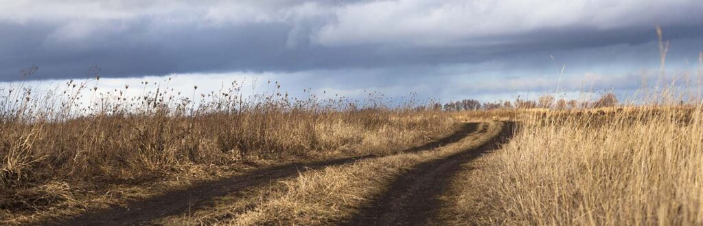 increase visitors to your website