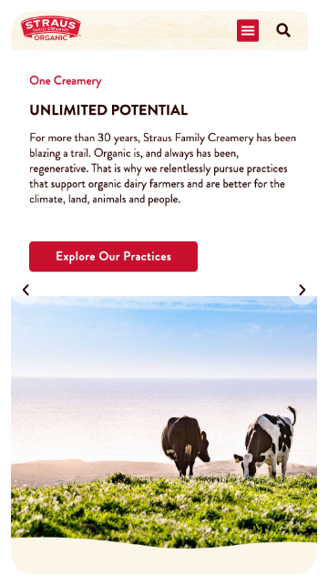 Mobile preview of homepage