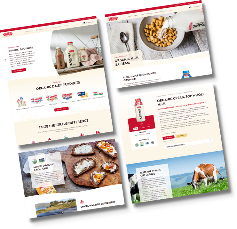 straus website preview