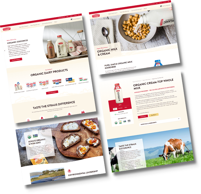 straus website preview