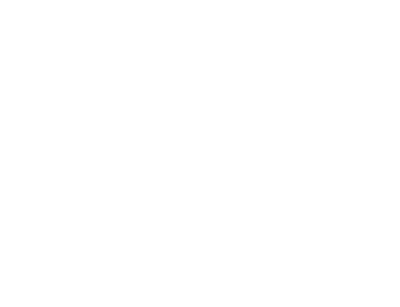 ny_geo-white